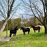Sielankowe Pole 아파트 Brzozowa (Tarnow)