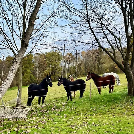 Sielankowe Pole Apartmán Brzozowa (Tarnow)