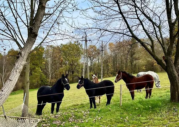 Sielankowe Pole アパート Brzozowa (Tarnow)